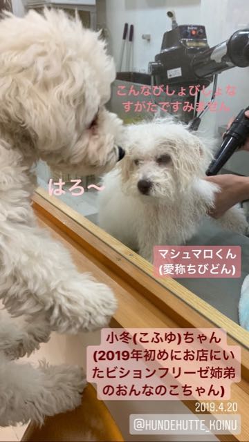 ¥Ó¥·¥ç¥ó¥Õ¥ê¡¼¥¼¤³¤¤¤Ì¾ðÊó¥Õ¥ó¥È¥Ò¥å¥Ã¥Æ¥Ó¥·¥ç¥óÀ³Ê¤ª¤È¤Ê¤·¤¤¥»¥é¥Ô¡¼¥É¥Ã¥°°éÀ®»ô¤¤¤ä¤¹¤¤¸¤¤È¤Ï¤É¤³¤Ç¤³¤¤¤Ì²èÁü»Ò¸¤¤Î¼Ò²ñ²½¥Ó¥·¥ç¥óÀÖ¤Á¤ã¤ó¤«¤ï¤¤¤¤¥Ó¥·¥ç¥ó¥Õ¥ê¡¼¥¼Åìµþ¥Ó¥·¥ç¥ó½Ð»º¾ðÊóÀ³Ê¥Ó¥·¥ç¥ó²È²Êç½¸Ãæ_545.jpg