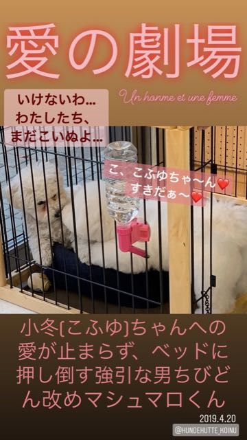 ¥Ó¥·¥ç¥ó¥Õ¥ê¡¼¥¼¤³¤¤¤Ì¾ðÊó¥Õ¥ó¥È¥Ò¥å¥Ã¥Æ¥Ó¥·¥ç¥óÀ³Ê¤ª¤È¤Ê¤·¤¤¥»¥é¥Ô¡¼¥É¥Ã¥°°éÀ®»ô¤¤¤ä¤¹¤¤¸¤¤È¤Ï¤É¤³¤Ç¤³¤¤¤Ì²èÁü»Ò¸¤¤Î¼Ò²ñ²½¥Ó¥·¥ç¥óÀÖ¤Á¤ã¤ó¤«¤ï¤¤¤¤¥Ó¥·¥ç¥ó¥Õ¥ê¡¼¥¼Åìµþ¥Ó¥·¥ç¥ó½Ð»º¾ðÊóÀ³Ê¥Ó¥·¥ç¥ó²È²Êç½¸Ãæ_552.jpg