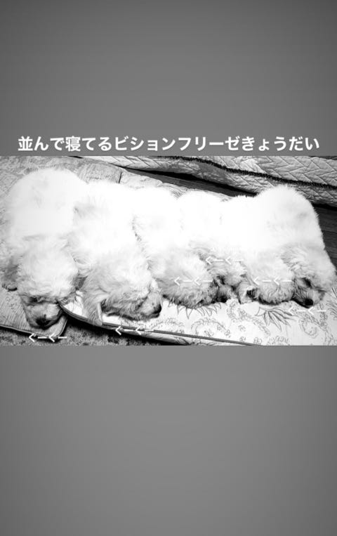 ¥Ó¥·¥ç¥ó¥Õ¥ê¡¼¥¼¤³¤¤¤Ì¾ðÊó¥Õ¥ó¥È¥Ò¥å¥Ã¥Æ¥Ó¥·¥ç¥ó¤ª¤ó¤Ê¤Î¤³¥Ó¥·¥ç¥ó¥Õ¥ê¡¼¥¼¥á¥¹½÷¤Î»Ò¤³¤¤¤Ì²èÁü»Ò¸¤¤Î¼Ò²ñ²½¥Ó¥·¥ç¥óÀÖ¤Á¤ã¤ó¤«¤ï¤¤¤¤¥Ó¥·¥ç¥ó¥Õ¥ê¡¼¥¼Åìµþ¥Ó¥·¥ç¥ó½Ð»º¾ðÊóÀ³Ê¥Ö¥ê¡¼¥À¡¼¥Ó¥·¥ç¥ó²È²Êç½¸Ãæ_6.jpg