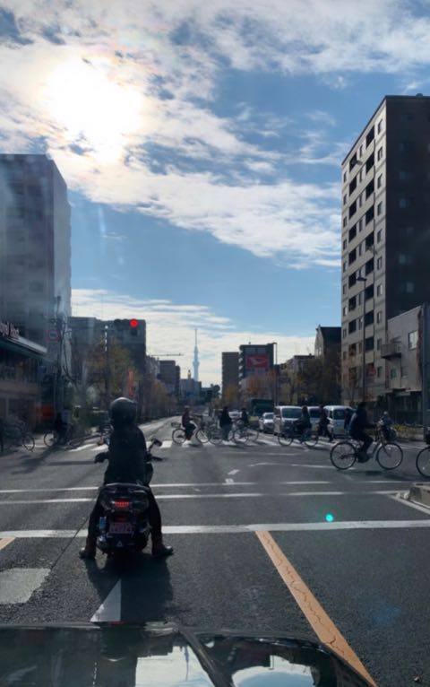 ビションフリーゼこいぬ情報フントヒュッテビションおんなのこビションフリーゼメス女の子こいぬ画像子犬の社会化ビション赤ちゃんかわいいビションフリーゼ東京ビション出産情報性格ブリーダービション家族募集中_12.jpg