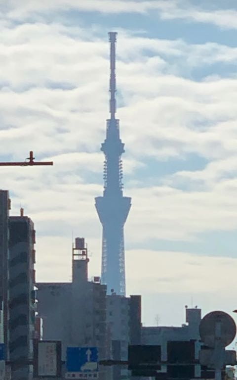 ビションフリーゼこいぬ情報フントヒュッテビションおんなのこビションフリーゼメス女の子こいぬ画像子犬の社会化ビション赤ちゃんかわいいビションフリーゼ東京ビション出産情報性格ブリーダービション家族募集中_14.jpg