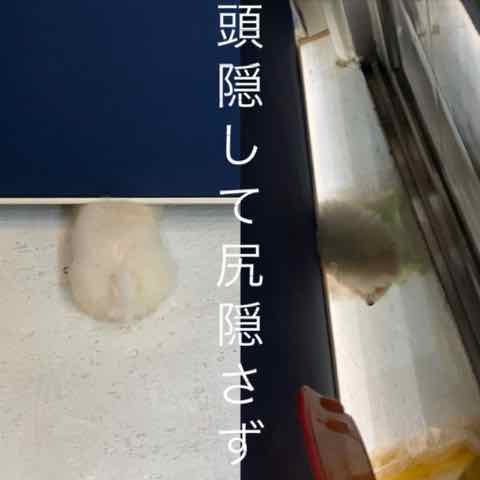 ¥Ó¥·¥ç¥ó¥Õ¥ê¡¼¥¼¤³¤¤¤Ì¾ðÊó¥Õ¥ó¥È¥Ò¥å¥Ã¥Æ¥Ó¥·¥ç¥ó¤ª¤ó¤Ê¤Î¤³¥Ó¥·¥ç¥ó¥Õ¥ê¡¼¥¼¥á¥¹½÷¤Î»Ò¤³¤¤¤Ì²èÁü»Ò¸¤¤Î¼Ò²ñ²½¥Ó¥·¥ç¥óÀÖ¤Á¤ã¤ó¤«¤ï¤¤¤¤¥Ó¥·¥ç¥ó¥Õ¥ê¡¼¥¼Åìµþ¥Ó¥·¥ç¥ó½Ð»º¾ðÊóÀ³Ê¥Ö¥ê¡¼¥À¡¼¥Ó¥·¥ç¥ó²È²Êç½¸Ãæ_36.jpg