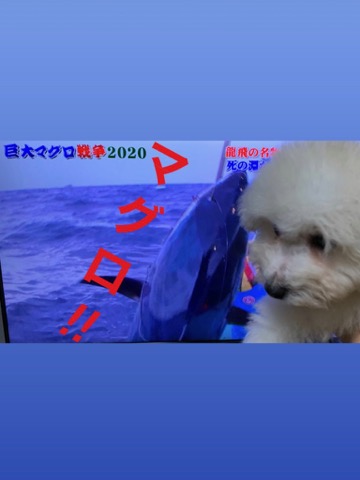 ¥Ó¥·¥ç¥ó¥Õ¥ê¡¼¥¼¤³¤¤¤Ì¾ðÊó¥Õ¥ó¥È¥Ò¥å¥Ã¥Æ¥Ó¥·¥ç¥ó¤ª¤ó¤Ê¤Î¤³¥Ó¥·¥ç¥ó¥Õ¥ê¡¼¥¼¥á¥¹½÷¤Î»Ò¤³¤¤¤Ì²èÁü»Ò¸¤¤Î¼Ò²ñ²½¥Ó¥·¥ç¥óÀÖ¤Á¤ã¤ó¤«¤ï¤¤¤¤¥Ó¥·¥ç¥ó¥Õ¥ê¡¼¥¼Åìµþ¥Ó¥·¥ç¥ó½Ð»º¾ðÊóÀ³Ê¥Ö¥ê¡¼¥À¡¼¥Ó¥·¥ç¥ó²È²Êç½¸Ãæ_58.jpg