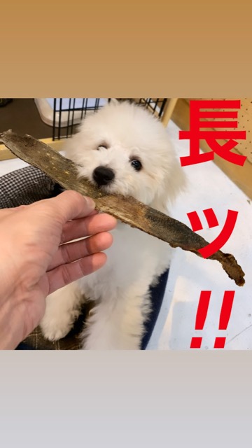 ¥Ó¥·¥ç¥ó¥Õ¥ê¡¼¥¼¤³¤¤¤Ì¾ðÊó¥Õ¥ó¥È¥Ò¥å¥Ã¥Æ¥Ó¥·¥ç¥ó¤ª¤ó¤Ê¤Î¤³¥Ó¥·¥ç¥ó¥Õ¥ê¡¼¥¼¥á¥¹½÷¤Î»Ò¤³¤¤¤Ì²èÁü»Ò¸¤¤Î¼Ò²ñ²½¥Ó¥·¥ç¥óÀÖ¤Á¤ã¤ó¤«¤ï¤¤¤¤¥Ó¥·¥ç¥ó¥Õ¥ê¡¼¥¼Åìµþ¥Ó¥·¥ç¥ó½Ð»º¾ðÊóÀ³Ê¥Ö¥ê¡¼¥À¡¼¥Ó¥·¥ç¥ó²È²Êç½¸Ãæ_66.jpg