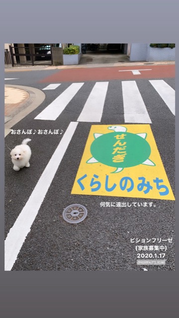 ¥Ó¥·¥ç¥ó¥Õ¥ê¡¼¥¼¤³¤¤¤Ì¾ðÊó¥Õ¥ó¥È¥Ò¥å¥Ã¥Æ¥Ó¥·¥ç¥ó¤ª¤ó¤Ê¤Î¤³¥Ó¥·¥ç¥ó¥Õ¥ê¡¼¥¼¥á¥¹½÷¤Î»Ò¤³¤¤¤Ì²èÁü»Ò¸¤¤Î¼Ò²ñ²½¥Ó¥·¥ç¥óÀÖ¤Á¤ã¤ó¤«¤ï¤¤¤¤¥Ó¥·¥ç¥ó¥Õ¥ê¡¼¥¼Åìµþ¥Ó¥·¥ç¥ó½Ð»º¾ðÊóÀ³Ê¥Ö¥ê¡¼¥À¡¼¥Ó¥·¥ç¥ó²È²Êç½¸Ãæ_74.jpg