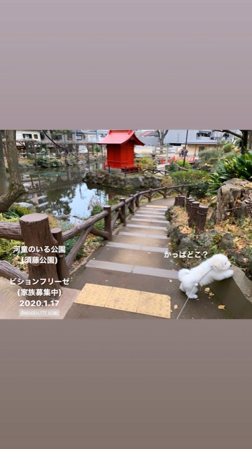 ¥Ó¥·¥ç¥ó¥Õ¥ê¡¼¥¼¤³¤¤¤Ì¾ðÊó¥Õ¥ó¥È¥Ò¥å¥Ã¥Æ¥Ó¥·¥ç¥ó¤ª¤ó¤Ê¤Î¤³¥Ó¥·¥ç¥ó¥Õ¥ê¡¼¥¼¥á¥¹½÷¤Î»Ò¤³¤¤¤Ì²èÁü»Ò¸¤¤Î¼Ò²ñ²½¥Ó¥·¥ç¥óÀÖ¤Á¤ã¤ó¤«¤ï¤¤¤¤¥Ó¥·¥ç¥ó¥Õ¥ê¡¼¥¼Åìµþ¥Ó¥·¥ç¥ó½Ð»º¾ðÊóÀ³Ê¥Ö¥ê¡¼¥À¡¼¥Ó¥·¥ç¥ó²È²Êç½¸Ãæ_75.jpg