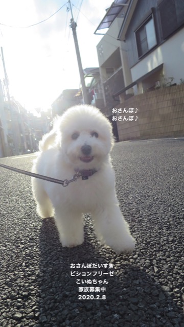 ¥Ó¥·¥ç¥ó¥Õ¥ê¡¼¥¼¤³¤¤¤Ì¾ðÊó¥Õ¥ó¥È¥Ò¥å¥Ã¥Æ¥Ó¥·¥ç¥ó¤ª¤ó¤Ê¤Î¤³¥Ó¥·¥ç¥ó¥Õ¥ê¡¼¥¼¥á¥¹½÷¤Î»Ò¤³¤¤¤Ì²èÁü»Ò¸¤¤Î¼Ò²ñ²½¥Ó¥·¥ç¥óÀÖ¤Á¤ã¤ó¤«¤ï¤¤¤¤¥Ó¥·¥ç¥ó¥Õ¥ê¡¼¥¼Åìµþ¥Ó¥·¥ç¥ó½Ð»º¾ðÊóÀ³Ê¥Ö¥ê¡¼¥À¡¼¥Ó¥·¥ç¥ó²È²Êç½¸Ãæ_84.jpg