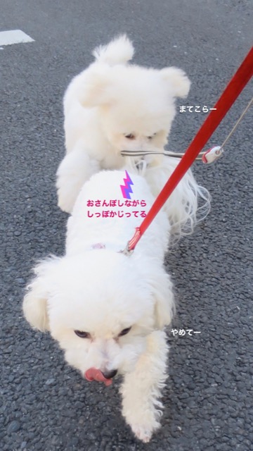 ¥Ó¥·¥ç¥ó¥Õ¥ê¡¼¥¼¤³¤¤¤Ì¾ðÊó¥Õ¥ó¥È¥Ò¥å¥Ã¥Æ¥Ó¥·¥ç¥ó¤ª¤ó¤Ê¤Î¤³¥Ó¥·¥ç¥ó¥Õ¥ê¡¼¥¼¥á¥¹½÷¤Î»Ò¤³¤¤¤Ì²èÁü»Ò¸¤¤Î¼Ò²ñ²½¥Ó¥·¥ç¥óÀÖ¤Á¤ã¤ó¤«¤ï¤¤¤¤¥Ó¥·¥ç¥ó¥Õ¥ê¡¼¥¼Åìµþ¥Ó¥·¥ç¥ó½Ð»º¾ðÊóÀ³Ê¥Ö¥ê¡¼¥À¡¼¥Ó¥·¥ç¥ó²È²Êç½¸Ãæ_88.jpg