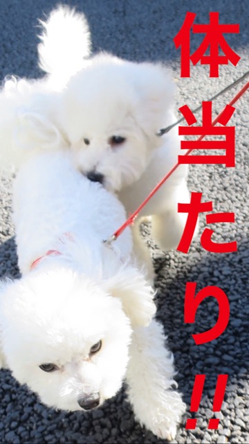 ¥Ó¥·¥ç¥ó¥Õ¥ê¡¼¥¼¤³¤¤¤Ì¾ðÊó¥Õ¥ó¥È¥Ò¥å¥Ã¥Æ¥Ó¥·¥ç¥ó¤ª¤ó¤Ê¤Î¤³¥Ó¥·¥ç¥ó¥Õ¥ê¡¼¥¼¥á¥¹½÷¤Î»Ò¤³¤¤¤Ì²èÁü»Ò¸¤¤Î¼Ò²ñ²½¥Ó¥·¥ç¥óÀÖ¤Á¤ã¤ó¤«¤ï¤¤¤¤¥Ó¥·¥ç¥ó¥Õ¥ê¡¼¥¼Åìµþ¥Ó¥·¥ç¥ó½Ð»º¾ðÊóÀ³Ê¥Ö¥ê¡¼¥À¡¼¥Ó¥·¥ç¥ó²È²Êç½¸Ãæ_89.jpg
