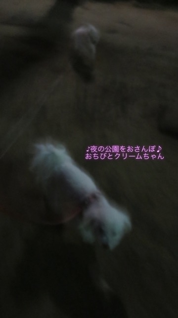 ¥Ó¥·¥ç¥ó¥Õ¥ê¡¼¥¼¤³¤¤¤Ì¾ðÊó¥Õ¥ó¥È¥Ò¥å¥Ã¥Æ¥Ó¥·¥ç¥ó¤ª¤ó¤Ê¤Î¤³¥Ó¥·¥ç¥ó¥Õ¥ê¡¼¥¼¥á¥¹½÷¤Î»Ò¤³¤¤¤Ì²èÁü»Ò¸¤¤Î¼Ò²ñ²½¥Ó¥·¥ç¥óÀÖ¤Á¤ã¤ó¤«¤ï¤¤¤¤¥Ó¥·¥ç¥ó¥Õ¥ê¡¼¥¼Åìµþ¥Ó¥·¥ç¥ó½Ð»º¾ðÊóÀ³Ê¥Ö¥ê¡¼¥À¡¼¥Ó¥·¥ç¥ó²È²Êç½¸Ãæ_93.jpg