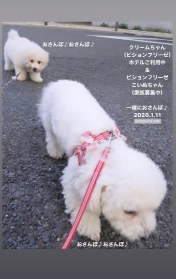¥Ó¥·¥ç¥ó¥Õ¥ê¡¼¥¼¤³¤¤¤Ì¾ðÊó¥Õ¥ó¥È¥Ò¥å¥Ã¥Æ¥Ó¥·¥ç¥ó¤ª¤ó¤Ê¤Î¤³¥Ó¥·¥ç¥ó¥Õ¥ê¡¼¥¼¥á¥¹½÷¤Î»Ò¤³¤¤¤Ì²èÁü»Ò¸¤¤Î¼Ò²ñ²½¥Ó¥·¥ç¥óÀÖ¤Á¤ã¤ó¤«¤ï¤¤¤¤¥Ó¥·¥ç¥ó¥Õ¥ê¡¼¥¼Åìµþ¥Ó¥·¥ç¥ó½Ð»º¾ðÊóÀ³Ê¥Ö¥ê¡¼¥À¡¼¥Ó¥·¥ç¥ó²È²Êç½¸Ãæ_95.jpg