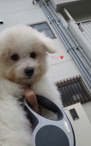 ¥Ó¥·¥ç¥ó¥Õ¥ê¡¼¥¼¤³¤¤¤Ì¾ðÊó¥Õ¥ó¥È¥Ò¥å¥Ã¥Æ¥Ó¥·¥ç¥ó¤ª¤ó¤Ê¤Î¤³¥Ó¥·¥ç¥ó¥Õ¥ê¡¼¥¼¥á¥¹½÷¤Î»Ò¤³¤¤¤Ì²èÁü»Ò¸¤¤Î¼Ò²ñ²½¥Ó¥·¥ç¥óÀÖ¤Á¤ã¤ó¤«¤ï¤¤¤¤¥Ó¥·¥ç¥ó¥Õ¥ê¡¼¥¼Åìµþ¥Ó¥·¥ç¥ó½Ð»º¾ðÊóÀ³Ê¥Ö¥ê¡¼¥À¡¼¥Ó¥·¥ç¥ó²È²Êç½¸Ãæ_103.jpg