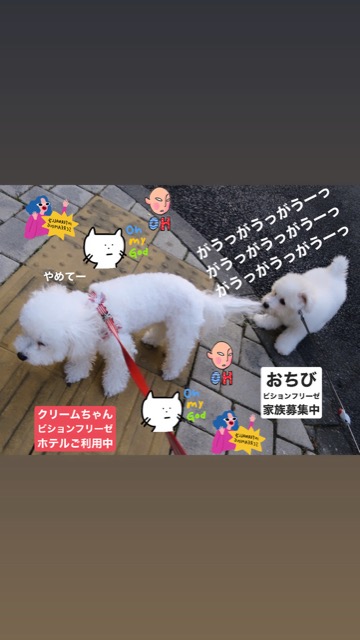 ¥Ó¥·¥ç¥ó¥Õ¥ê¡¼¥¼¤³¤¤¤Ì¾ðÊó¥Õ¥ó¥È¥Ò¥å¥Ã¥Æ¥Ó¥·¥ç¥ó¤ª¤ó¤Ê¤Î¤³¥Ó¥·¥ç¥ó¥Õ¥ê¡¼¥¼¥á¥¹½÷¤Î»Ò¤³¤¤¤Ì²èÁü»Ò¸¤¤Î¼Ò²ñ²½¥Ó¥·¥ç¥óÀÖ¤Á¤ã¤ó¤«¤ï¤¤¤¤¥Ó¥·¥ç¥ó¥Õ¥ê¡¼¥¼Åìµþ¥Ó¥·¥ç¥ó½Ð»º¾ðÊóÀ³Ê¥Ö¥ê¡¼¥À¡¼¥Ó¥·¥ç¥ó²È²Êç½¸Ãæ_106.jpg