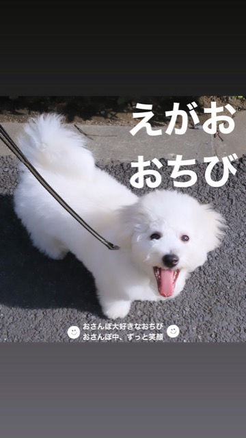 ¥Ó¥·¥ç¥ó¥Õ¥ê¡¼¥¼¤³¤¤¤Ì¾ðÊó¥Õ¥ó¥È¥Ò¥å¥Ã¥Æ¥Ó¥·¥ç¥ó¤ª¤ó¤Ê¤Î¤³¥Ó¥·¥ç¥ó¥Õ¥ê¡¼¥¼¥á¥¹½÷¤Î»Ò¤³¤¤¤Ì²èÁü»Ò¸¤¤Î¼Ò²ñ²½¥Ó¥·¥ç¥óÀÖ¤Á¤ã¤ó¤«¤ï¤¤¤¤¥Ó¥·¥ç¥ó¥Õ¥ê¡¼¥¼Åìµþ¥Ó¥·¥ç¥ó½Ð»º¾ðÊóÀ³Ê¥Ö¥ê¡¼¥À¡¼¥Ó¥·¥ç¥ó²È²Êç½¸Ãæ_111.jpg