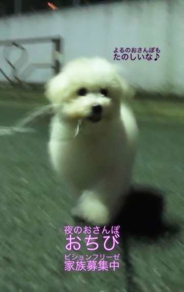 ¥Ó¥·¥ç¥ó¥Õ¥ê¡¼¥¼¤³¤¤¤Ì¾ðÊó¥Õ¥ó¥È¥Ò¥å¥Ã¥Æ¥Ó¥·¥ç¥ó¤ª¤ó¤Ê¤Î¤³¥Ó¥·¥ç¥ó¥Õ¥ê¡¼¥¼¥á¥¹½÷¤Î»Ò¤³¤¤¤Ì²èÁü»Ò¸¤¤Î¼Ò²ñ²½¥Ó¥·¥ç¥óÀÖ¤Á¤ã¤ó¤«¤ï¤¤¤¤¥Ó¥·¥ç¥ó¥Õ¥ê¡¼¥¼Åìµþ¥Ó¥·¥ç¥ó½Ð»º¾ðÊóÀ³Ê¥Ö¥ê¡¼¥À¡¼¥Ó¥·¥ç¥ó²È²Êç½¸Ãæ_113.jpg