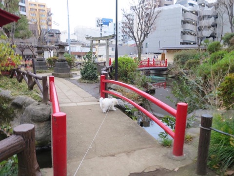¥Ó¥·¥ç¥ó¥Õ¥ê¡¼¥¼¤³¤¤¤Ì¾ðÊó¥Õ¥ó¥È¥Ò¥å¥Ã¥Æ¥Ó¥·¥ç¥ó¤ª¤ó¤Ê¤Î¤³¥Ó¥·¥ç¥ó¥Õ¥ê¡¼¥¼¥á¥¹½÷¤Î»Ò¤³¤¤¤Ì²èÁü»Ò¸¤¤Î¼Ò²ñ²½¥Ó¥·¥ç¥óÀÖ¤Á¤ã¤ó¤«¤ï¤¤¤¤¥Ó¥·¥ç¥ó¥Õ¥ê¡¼¥¼Åìµþ¥Ó¥·¥ç¥ó½Ð»º¾ðÊóÀ³Ê¥Ö¥ê¡¼¥À¡¼¥Ó¥·¥ç¥ó²È²Êç½¸Ãæ_117.jpg