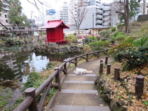 ¥Ó¥·¥ç¥ó¥Õ¥ê¡¼¥¼¤³¤¤¤Ì¾ðÊó¥Õ¥ó¥È¥Ò¥å¥Ã¥Æ¥Ó¥·¥ç¥ó¤ª¤ó¤Ê¤Î¤³¥Ó¥·¥ç¥ó¥Õ¥ê¡¼¥¼¥á¥¹½÷¤Î»Ò¤³¤¤¤Ì²èÁü»Ò¸¤¤Î¼Ò²ñ²½¥Ó¥·¥ç¥óÀÖ¤Á¤ã¤ó¤«¤ï¤¤¤¤¥Ó¥·¥ç¥ó¥Õ¥ê¡¼¥¼Åìµþ¥Ó¥·¥ç¥ó½Ð»º¾ðÊóÀ³Ê¥Ö¥ê¡¼¥À¡¼¥Ó¥·¥ç¥ó²È²Êç½¸Ãæ_123.jpg