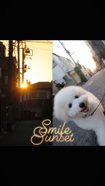 ¥Ó¥·¥ç¥ó¥Õ¥ê¡¼¥¼¤³¤¤¤Ì¾ðÊó¥Õ¥ó¥È¥Ò¥å¥Ã¥Æ¥Ó¥·¥ç¥ó¤ª¤ó¤Ê¤Î¤³¥Ó¥·¥ç¥ó¥Õ¥ê¡¼¥¼¥á¥¹½÷¤Î»Ò¤³¤¤¤Ì²èÁü»Ò¸¤¤Î¼Ò²ñ²½¥Ó¥·¥ç¥óÀÖ¤Á¤ã¤ó¤«¤ï¤¤¤¤¥Ó¥·¥ç¥ó¥Õ¥ê¡¼¥¼Åìµþ¥Ó¥·¥ç¥ó½Ð»º¾ðÊóÀ³Ê¥Ö¥ê¡¼¥À¡¼¥Ó¥·¥ç¥ó²È²Êç½¸Ãæ_129.jpg