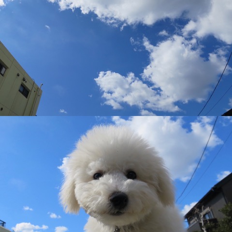 ¥Ó¥·¥ç¥ó¥Õ¥ê¡¼¥¼¤³¤¤¤Ì¾ðÊó¥Õ¥ó¥È¥Ò¥å¥Ã¥Æ¥Ó¥·¥ç¥ó¤ª¤ó¤Ê¤Î¤³¥Ó¥·¥ç¥ó¥Õ¥ê¡¼¥¼¥á¥¹½÷¤Î»Ò¤³¤¤¤Ì²èÁü»Ò¸¤¤Î¼Ò²ñ²½¥Ó¥·¥ç¥óÀÖ¤Á¤ã¤ó¤«¤ï¤¤¤¤¥Ó¥·¥ç¥ó¥Õ¥ê¡¼¥¼Åìµþ¥Ó¥·¥ç¥ó½Ð»º¾ðÊóÀ³Ê¥Ö¥ê¡¼¥À¡¼¥Ó¥·¥ç¥ó²È²Êç½¸Ãæ_130.jpg