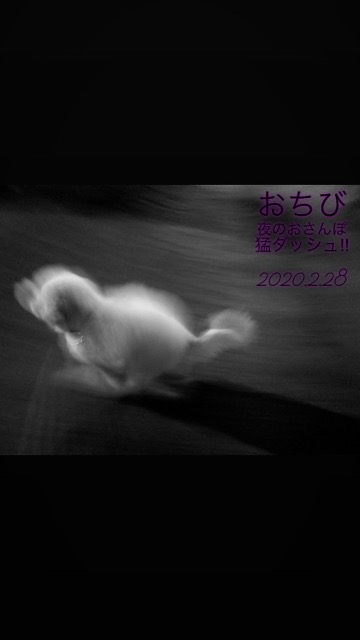 ¥Ó¥·¥ç¥ó¥Õ¥ê¡¼¥¼¤³¤¤¤Ì¾ðÊó¥Õ¥ó¥È¥Ò¥å¥Ã¥Æ¥Ó¥·¥ç¥ó¤ª¤ó¤Ê¤Î¤³¥Ó¥·¥ç¥ó¥Õ¥ê¡¼¥¼¥á¥¹½÷¤Î»Ò¤³¤¤¤Ì²èÁü»Ò¸¤¤Î¼Ò²ñ²½¥Ó¥·¥ç¥óÀÖ¤Á¤ã¤ó¤«¤ï¤¤¤¤¥Ó¥·¥ç¥ó¥Õ¥ê¡¼¥¼Åìµþ¥Ó¥·¥ç¥ó½Ð»º¾ðÊóÀ³Ê¥Ö¥ê¡¼¥À¡¼¥Ó¥·¥ç¥ó²È²Êç½¸Ãæ_132.jpg