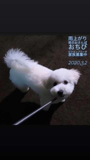 ¥Ó¥·¥ç¥ó¥Õ¥ê¡¼¥¼¤³¤¤¤Ì¾ðÊó¥Õ¥ó¥È¥Ò¥å¥Ã¥Æ¥Ó¥·¥ç¥ó¤ª¤ó¤Ê¤Î¤³¥Ó¥·¥ç¥ó¥Õ¥ê¡¼¥¼¥á¥¹½÷¤Î»Ò¤³¤¤¤Ì²èÁü»Ò¸¤¤Î¼Ò²ñ²½¥Ó¥·¥ç¥óÀÖ¤Á¤ã¤ó¤«¤ï¤¤¤¤¥Ó¥·¥ç¥ó¥Õ¥ê¡¼¥¼Åìµþ¥Ó¥·¥ç¥ó½Ð»º¾ðÊóÀ³Ê¥Ö¥ê¡¼¥À¡¼¥Ó¥·¥ç¥ó²È²Êç½¸Ãæ_133.jpg