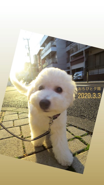 ¥Ó¥·¥ç¥ó¥Õ¥ê¡¼¥¼¤³¤¤¤Ì¾ðÊó¥Õ¥ó¥È¥Ò¥å¥Ã¥Æ¥Ó¥·¥ç¥ó¤ª¤ó¤Ê¤Î¤³¥Ó¥·¥ç¥ó¥Õ¥ê¡¼¥¼¥á¥¹½÷¤Î»Ò¤³¤¤¤Ì²èÁü»Ò¸¤¤Î¼Ò²ñ²½¥Ó¥·¥ç¥óÀÖ¤Á¤ã¤ó¤«¤ï¤¤¤¤¥Ó¥·¥ç¥ó¥Õ¥ê¡¼¥¼Åìµþ¥Ó¥·¥ç¥ó½Ð»º¾ðÊóÀ³Ê¥Ö¥ê¡¼¥À¡¼¥Ó¥·¥ç¥ó²È²Êç½¸Ãæ_134.jpg