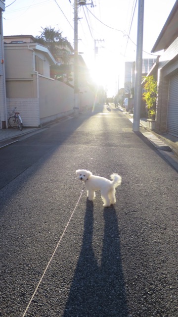 ¥Ó¥·¥ç¥ó¥Õ¥ê¡¼¥¼¤³¤¤¤Ì¾ðÊó¥Õ¥ó¥È¥Ò¥å¥Ã¥Æ¥Ó¥·¥ç¥ó¤ª¤ó¤Ê¤Î¤³¥Ó¥·¥ç¥ó¥Õ¥ê¡¼¥¼¥á¥¹½÷¤Î»Ò¤³¤¤¤Ì²èÁü»Ò¸¤¤Î¼Ò²ñ²½¥Ó¥·¥ç¥óÀÖ¤Á¤ã¤ó¤«¤ï¤¤¤¤¥Ó¥·¥ç¥ó¥Õ¥ê¡¼¥¼Åìµþ¥Ó¥·¥ç¥ó½Ð»º¾ðÊóÀ³Ê¥Ö¥ê¡¼¥À¡¼¥Ó¥·¥ç¥ó²È²Êç½¸Ãæ_136.jpg