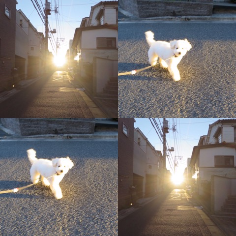¥Ó¥·¥ç¥ó¥Õ¥ê¡¼¥¼¤³¤¤¤Ì¾ðÊó¥Õ¥ó¥È¥Ò¥å¥Ã¥Æ¥Ó¥·¥ç¥ó¤ª¤ó¤Ê¤Î¤³¥Ó¥·¥ç¥ó¥Õ¥ê¡¼¥¼¥á¥¹½÷¤Î»Ò¤³¤¤¤Ì²èÁü»Ò¸¤¤Î¼Ò²ñ²½¥Ó¥·¥ç¥óÀÖ¤Á¤ã¤ó¤«¤ï¤¤¤¤¥Ó¥·¥ç¥ó¥Õ¥ê¡¼¥¼Åìµþ¥Ó¥·¥ç¥ó½Ð»º¾ðÊóÀ³Ê¥Ö¥ê¡¼¥À¡¼¥Ó¥·¥ç¥ó²È²Êç½¸Ãæ_137.jpg