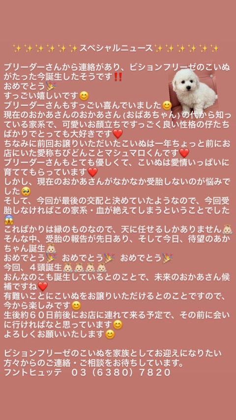 ¥Ó¥·¥ç¥ó¥Õ¥ê¡¼¥¼ ¤³¤¤¤Ì¾ðÊó »Ò¸¤¾ðÊó ¥Õ¥ó¥È¥Ò¥å¥Ã¥Æ ¸¤¤Î¼Ò²ñ²½ bichonfrise ½Ð»º¾ðÊó ¥Ó¥·¥ç¥ó ²È²Êç½¸Ãæ #¥Ó¥·¥ç¥ó¥Õ¥ê¡¼¥¼ #¤³¤¤¤Ì¾ðÊó #»Ò¸¤¾ðÊó #¥Õ¥ó¥È¥Ò¥å¥Ã¥Æ #¸¤¤Î¼Ò²ñ²½ #bichonfrise #½Ð»º¾ðÊó #¥Ó¥·¥ç¥ó #²È²Êç½¸Ãæ _ 1.jpg