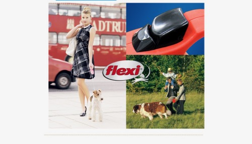 flexi VARIO¡¡¥³¡¼¥É¥¿¥¤¥×¡¡²èÁü¡¡¿¤Ó½Ì¤ß¤¹¤ë¥ê¡¼¥É¡¡¥Õ¥ì¥¥·¥ê¡¼¥É¡¡¸¤¡¡¤ª»¶Ê⥰¥Ã¥º¡¡¥Õ¥ó¥È¥Ò¥å¥Ã¥Æ¡¡ÄÌÈÎ _ 8.jpg
