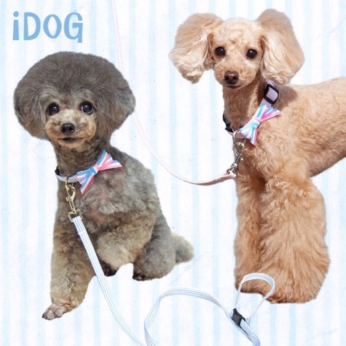   ꡼ iDog ɥå ꡼ɡ顼å ԥܡߥѥƥܡܥ # # #꡼ #iDog #ɥå ꡼ɡ顼å ԥܡߥѥƥܡܥ_ 1.jpg