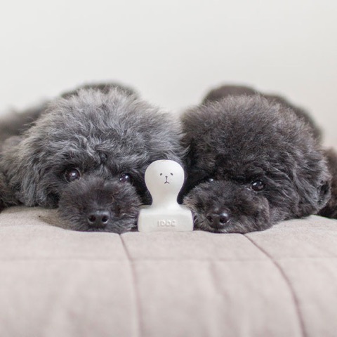 iDog&iCat¡¡¥¢¥¤¥É¥Ã¥°¥¢¥¤¥¥ã¥Ã¥È¡¡¥é¥Æ¥Ã¥¯¥¹TOY¡¡¸¤¤Î¤ª¤â¤Á¤ã¡¡Åìµþ¡¡¥Õ¥ó¥È¥Ò¥å¥Ã¥Æ¡¡²èÁü¡¡¤ªÌß¡¡¥³¥Þ¥á¡¡¥é¥Æ¥Ã¥¯¥¹TOY _ 9.jpg