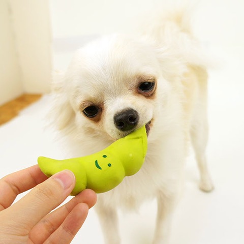 iDog&iCat¡¡¥¢¥¤¥É¥Ã¥°¥¢¥¤¥¥ã¥Ã¥È¡¡¥é¥Æ¥Ã¥¯¥¹TOY¡¡¸¤¤Î¤ª¤â¤Á¤ã¡¡Åìµþ¡¡¥Õ¥ó¥È¥Ò¥å¥Ã¥Æ¡¡²èÁü¡¡¤µ¤ä¤¨¤ó¤É¤¦¥é¥Æ¥Ã¥¯¥¹TOY _ 5.jpg