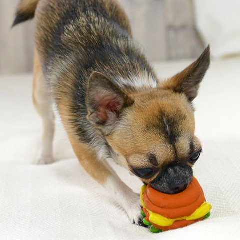 iDog&iCat¡¡¥¢¥¤¥É¥Ã¥°¥¢¥¤¥¥ã¥Ã¥È¡¡¥é¥Æ¥Ã¥¯¥¹TOY¡¡¸¤¤Î¤ª¤â¤Á¤ã¡¡Åìµþ¡¡¥Õ¥ó¥È¥Ò¥å¥Ã¥Æ¡¡²èÁü¡¡¥Ó¥Ã¥°¤Ê¥Ï¥ó¥Ð¡¼¥¬¡¼¥é¥Æ¥Ã¥¯¥¹TOY _ 6.jpg