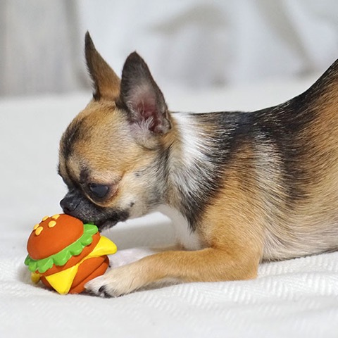 iDog&iCat¡¡¥¢¥¤¥É¥Ã¥°¥¢¥¤¥¥ã¥Ã¥È¡¡¥é¥Æ¥Ã¥¯¥¹TOY¡¡¸¤¤Î¤ª¤â¤Á¤ã¡¡Åìµþ¡¡¥Õ¥ó¥È¥Ò¥å¥Ã¥Æ¡¡²èÁü¡¡¥Ó¥Ã¥°¤Ê¥Ï¥ó¥Ð¡¼¥¬¡¼¥é¥Æ¥Ã¥¯¥¹TOY _ 7.jpg
