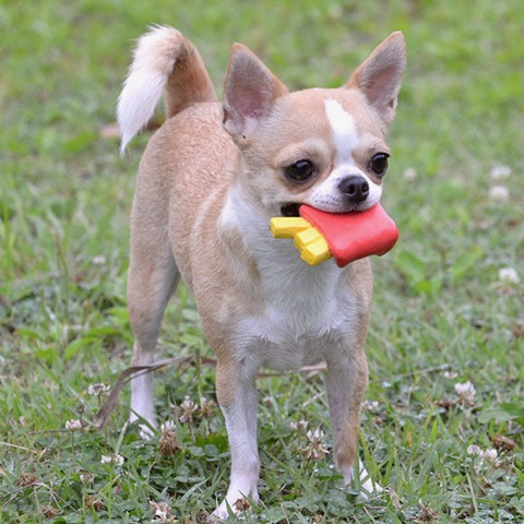 iDog&iCat¡¡¥¢¥¤¥É¥Ã¥°¥¢¥¤¥¥ã¥Ã¥È¡¡¥é¥Æ¥Ã¥¯¥¹TOY¡¡¸¤¤Î¤ª¤â¤Á¤ã¡¡Åìµþ¡¡¥Õ¥ó¥È¥Ò¥å¥Ã¥Æ¡¡²èÁü¡¡¥Õ¥é¥¤¥É¥Ý¥Æ¥È¥é¥Æ¥Ã¥¯¥¹TOY _ 5.jpg