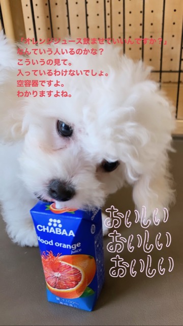 ¥Ü¥í¥Ë¡¼¥º ¤³¤¤¤Ì¾ðÊó »Ò¸¤¾ðÊó ²È²Êç½¸Ãæ ¤ª¤È¤Ê¤·¤¤¸¤ »ô¤¤¤ä¤¹¤¤¸¤ ¸¤¤Î¼Ò²ñ²½ ¥Õ¥ó¥È¥Ò¥å¥Ã¥Æ bolognese #¥Ü¥í¥Ë¡¼¥º #¤³¤¤¤Ì¾ðÊó #»Ò¸¤¾ðÊó #²È²Êç½¸Ãæ #¤ª¤È¤Ê¤·¤¤¸¤ #»ô¤¤¤ä¤¹¤¤¸¤ #¸¤¤Î¼Ò²ñ²½ #¥Õ¥ó¥È¥Ò¥å¥Ã¥Æ #bolognese _ 144.jpg