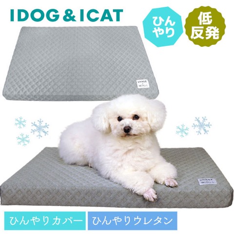 iDog&iCat ɥåå ǭ٥å 䴶С Ҥꥸ ƤŬ 뤵к  ȿȯޥå  եȥҥå  ѥ٥å  _ 1.jpg