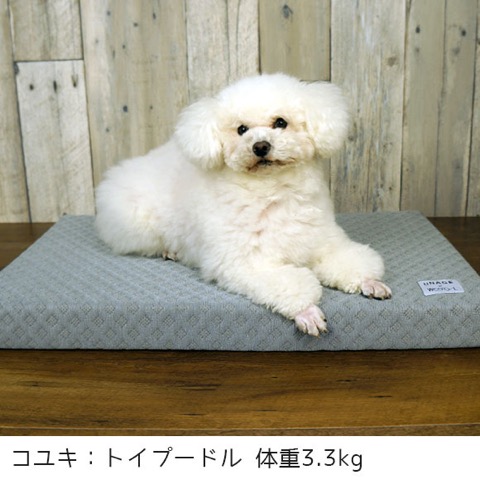 iDog&iCat ¥¢¥¤¥É¥Ã¥°¥¢¥¤¥¥ã¥Ã¥È ¸¤Ç¥Ù¥Ã¥É Îä´¶¥«¥Ð¡¼ ¤Ò¤ó¤ä¤ê¥¸¥§¥ë ²Æ¤ò²÷Ŭ¤Ë ½ë¤µÂкö ¸¤ Äãȿȯ¥Þ¥Ã¥È Åìµþ ¥Õ¥ó¥È¥Ò¥å¥Ã¥Æ ²èÁü ¸¤ÍÑ¥Ù¥Ã¥É _ 4.jpg