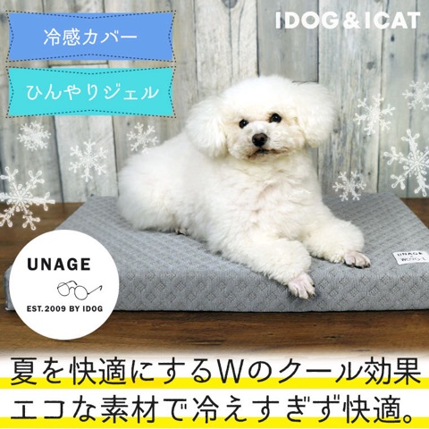 iDog&iCat ¥¢¥¤¥É¥Ã¥°¥¢¥¤¥¥ã¥Ã¥È ¸¤Ç¥Ù¥Ã¥É Îä´¶¥«¥Ð¡¼ ¤Ò¤ó¤ä¤ê¥¸¥§¥ë ²Æ¤ò²÷Ŭ¤Ë ½ë¤µÂкö ¸¤ Äãȿȯ¥Þ¥Ã¥È Åìµþ ¥Õ¥ó¥È¥Ò¥å¥Ã¥Æ ²èÁü ¸¤ÍÑ¥Ù¥Ã¥É _ 6.jpg