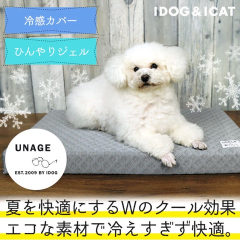 iDog&iCat ɥåå ǭ٥å 䴶С Ҥꥸ ƤŬ 뤵к  ȿȯޥå  եȥҥå  ѥ٥å  _ 6.jpg