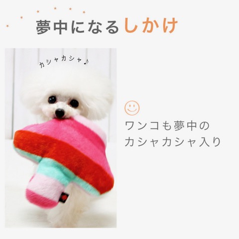 iDog&iCat ¥¢¥¤¥É¥Ã¥°¥¢¥¤¥¥ã¥Ã¥È iToy ¹ñ»º¥Ú¥Ã¥ÈÍѤª¤â¤Á¤ã POP¤ÊÊÁ¤Î¥¥Î¥³·¿¤ª¤â¤Á¤ã ¥«¥·¥ã¥«¥·¥ãÆþ¤ê¤Ç¥ï¥ó¥³¤âÌ´Ãæ¤Ë Åìµþ ¥Õ¥ó¥È¥Ò¥å¥Ã¥Æ ²èÁü ¸¤ÍѤª¤â¤Á¤ã _ 6.jpg