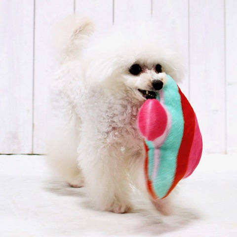 iDog&iCat ¥¢¥¤¥É¥Ã¥°¥¢¥¤¥¥ã¥Ã¥È iToy ¹ñ»º¥Ú¥Ã¥ÈÍѤª¤â¤Á¤ã POP¤ÊÊÁ¤Î¥¥Î¥³·¿¤ª¤â¤Á¤ã ¥«¥·¥ã¥«¥·¥ãÆþ¤ê¤Ç¥ï¥ó¥³¤âÌ´Ãæ¤Ë Åìµþ ¥Õ¥ó¥È¥Ò¥å¥Ã¥Æ ²èÁü ¸¤ÍѤª¤â¤Á¤ã _ 10.jpg