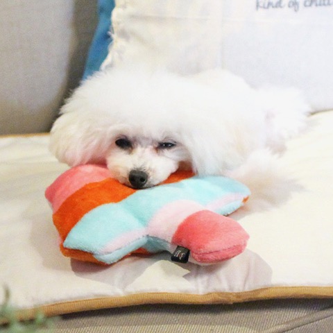 iDog&iCat ¥¢¥¤¥É¥Ã¥°¥¢¥¤¥¥ã¥Ã¥È iToy ¹ñ»º¥Ú¥Ã¥ÈÍѤª¤â¤Á¤ã POP¤ÊÊÁ¤Î¥¥Î¥³·¿¤ª¤â¤Á¤ã ¥«¥·¥ã¥«¥·¥ãÆþ¤ê¤Ç¥ï¥ó¥³¤âÌ´Ãæ¤Ë Åìµþ ¥Õ¥ó¥È¥Ò¥å¥Ã¥Æ ²èÁü ¸¤ÍѤª¤â¤Á¤ã _ 13.jpg