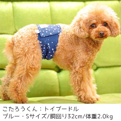 iDog&iCat ¥¢¥¤¥É¥Ã¥°¥¢¥¤¥¥ã¥Ã¥È ¥Þ¥Ê¡¼¥Ù¥ë¥È ¥¹¥¿¡¼¥Ü¡¼¥À¡¼ Åìµþ ¥Õ¥ó¥È¥Ò¥å¥Ã¥Æ ²èÁü ¸¤ ¥Þ¥Ê¡¼¥Ð¥ó¥É ¥Þ¡¼¥¥ó¥°ËÉ»ß _ 6.jpg