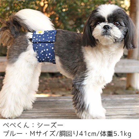 iDog&iCat ¥¢¥¤¥É¥Ã¥°¥¢¥¤¥¥ã¥Ã¥È ¥Þ¥Ê¡¼¥Ù¥ë¥È ¥¹¥¿¡¼¥Ü¡¼¥À¡¼ Åìµþ ¥Õ¥ó¥È¥Ò¥å¥Ã¥Æ ²èÁü ¸¤ ¥Þ¥Ê¡¼¥Ð¥ó¥É ¥Þ¡¼¥¥ó¥°ËÉ»ß _ 9.jpg