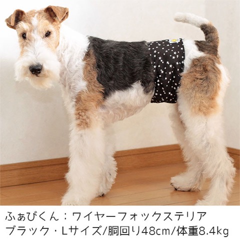 iDog&iCat ¥¢¥¤¥É¥Ã¥°¥¢¥¤¥¥ã¥Ã¥È ¥Þ¥Ê¡¼¥Ù¥ë¥È ¥¹¥¿¡¼¥Ü¡¼¥À¡¼ Åìµþ ¥Õ¥ó¥È¥Ò¥å¥Ã¥Æ ²èÁü ¸¤ ¥Þ¥Ê¡¼¥Ð¥ó¥É ¥Þ¡¼¥¥ó¥°ËÉ»ß _ 11.jpg