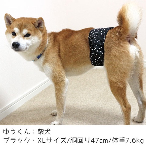 iDog&iCat ¥¢¥¤¥É¥Ã¥°¥¢¥¤¥¥ã¥Ã¥È ¥Þ¥Ê¡¼¥Ù¥ë¥È ¥¹¥¿¡¼¥Ü¡¼¥À¡¼ Åìµþ ¥Õ¥ó¥È¥Ò¥å¥Ã¥Æ ²èÁü ¸¤ ¥Þ¥Ê¡¼¥Ð¥ó¥É ¥Þ¡¼¥¥ó¥°ËÉ»ß _ 12.jpg
