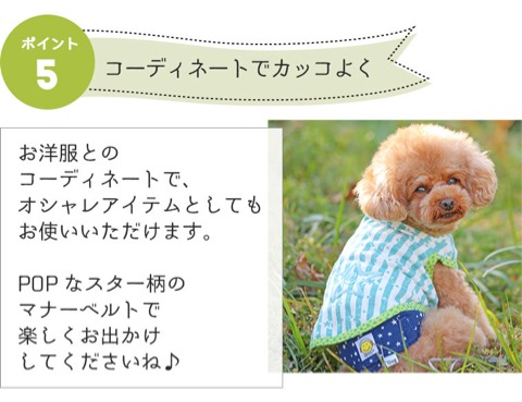 iDog&iCat ¥¢¥¤¥É¥Ã¥°¥¢¥¤¥¥ã¥Ã¥È ¥Þ¥Ê¡¼¥Ù¥ë¥È ¥¹¥¿¡¼¥Ü¡¼¥À¡¼ Åìµþ ¥Õ¥ó¥È¥Ò¥å¥Ã¥Æ ²èÁü ¸¤ ¥Þ¥Ê¡¼¥Ð¥ó¥É ¥Þ¡¼¥¥ó¥°ËÉ»ß _ 18.jpg