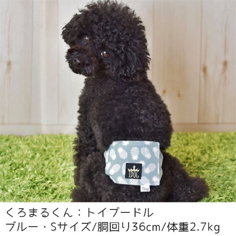 iDog&iCat ¥¢¥¤¥É¥Ã¥°¥¢¥¤¥¥ã¥Ã¥È ¥Þ¥Ê¡¼¥Ù¥ë¥È ¥Ñ¥¤¥ó¥Ü¡¼¥À¡¼ Åìµþ ¥Õ¥ó¥È¥Ò¥å¥Ã¥Æ ²èÁü ¸¤ ¥Þ¥Ê¡¼¥Ð¥ó¥É ¥Þ¡¼¥¥ó¥°ËÉ»ß ¥Ñ¥¤¥Ê¥Ã¥×¥ëÊÁ _ 6.jpg